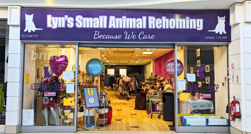 Lyn's Small Animal Rehoming in The Howgate, Falkirk